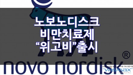 노보노디스크의 비만치료제 "위고비" 출시! - 세마글투타이드 삭센다 후속약물