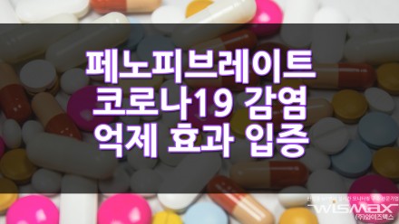 페노피브레이트 코로나 19 감염 억제 효과 입증!