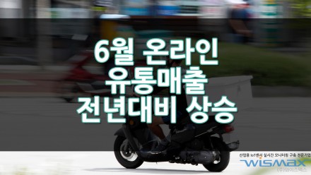 2021년 상반기 및 6월 주요유통업체 매출동향조사 결과 6월 온라인 유통매출 전년대비 19.6% 상승
