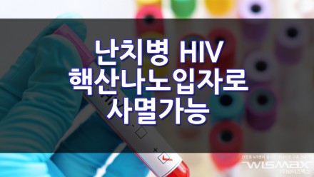 완치 불가능한 HIV 감염 면역 활성 유도 '핵산나노입자'로 사멸 가능