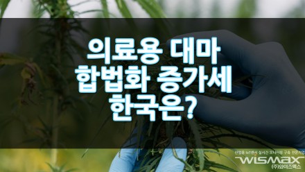 의료용 대마 합법화 국가 증가세... 한국은?