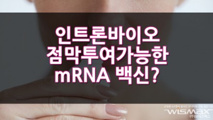 인트론바이오 점막투여 가능한 mRNA 백신 기술 개발?!