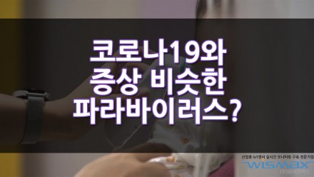 코로나19와 증상 비슷한 파라바이러스 비상!