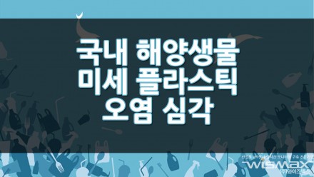 국내 해양생물 미세 플라스틱 오염 심각