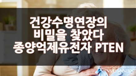 건강 수명 연장의 비밀 찾았다 종양 억제 유전자 PTEN이 핵심