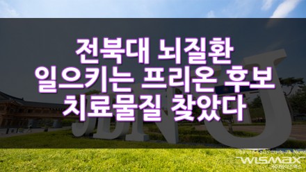 전북대학교 정병훈 교수팀 뇌질환 일으키는 프리온 후보 치료물질 찾았다