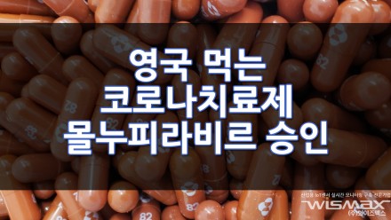 영국에서 먹는 코로나치료제 몰누피라비르 세계 첫 승인