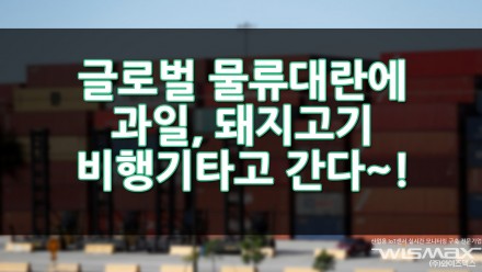 글로벌 물류 대란에 과일도, 돼지고기도 비행기 타고 간다!