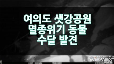 여의도 샛강공원에서 멸종위기 동물 수달 발견