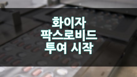 화이자 팍스로비드 14일부터 환자 투여 시작