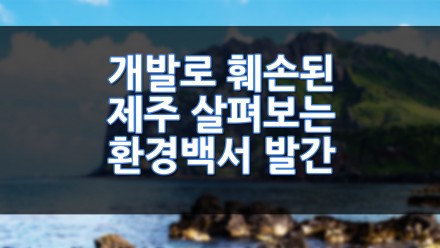 개발로 훼손된 제주 살펴보는 환경백서 발간