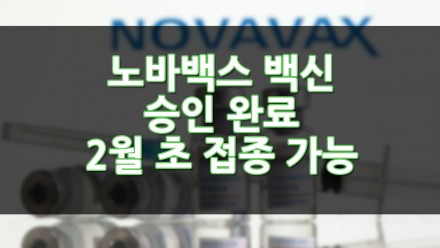 노바백스 백신 승인 완료 2월초부터 접종 가능