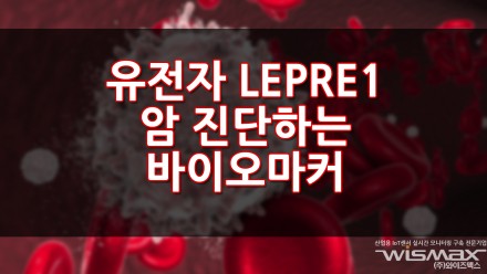 유전자 LEPRE1 암 진단하는 바이오마커