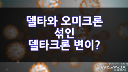 코로나 델타 바이러스와 오미크론 바이러스가 합쳐진 새로운 델타크론 변이 확인?