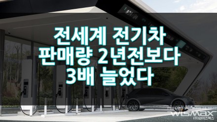 전세계 전치가 판매량 2년전보다 3배 늘었다