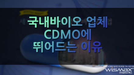 국내바이오 업체 CDMO에 뛰어드는 이유