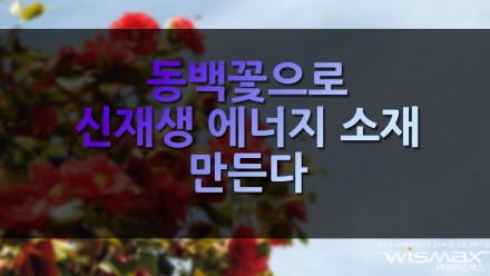 동백꽃으로 신재생 에너지 소재 만든다