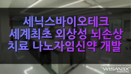 세닉스바이오테크 세계 최초 외상성 뇌손상 치료 나노자임 신약 개발