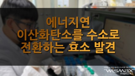 에너지연 이산화탄소를 수소로 전환하는 신규 효소 발견