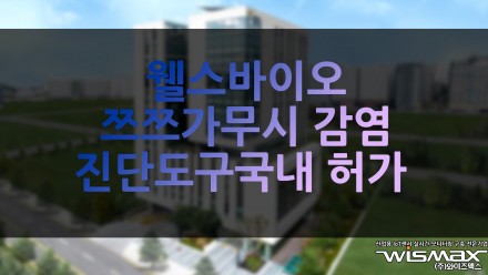 웰스바이오, 쯔쯔가무시 감염 진단도구 국내 허가