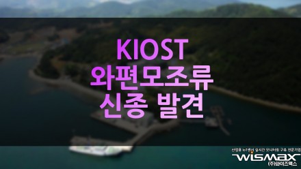 KIOST, 해양바이오 소재 이용 가능 와편모조류 신종 발견