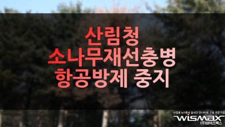 산림청 소나무재선충병 항공방제 중지