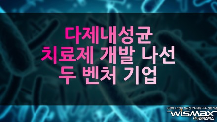다제내성균 치료제 개발 나선 두 벤처 기업