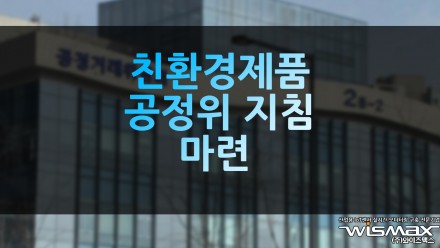 친환경제품, 공정위 지침 마련