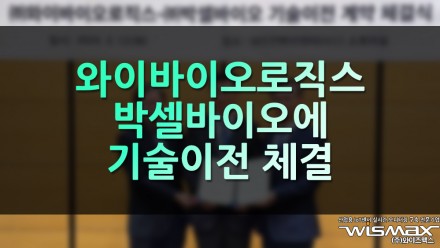 와이바이오로직스, 박셀바이오에 기술이전 계약 체결