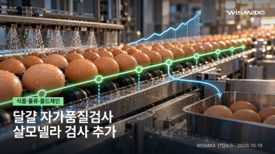 달걀 자가품질검사에 살모넬라균 추가…식약처 12월 규정 개정 추진