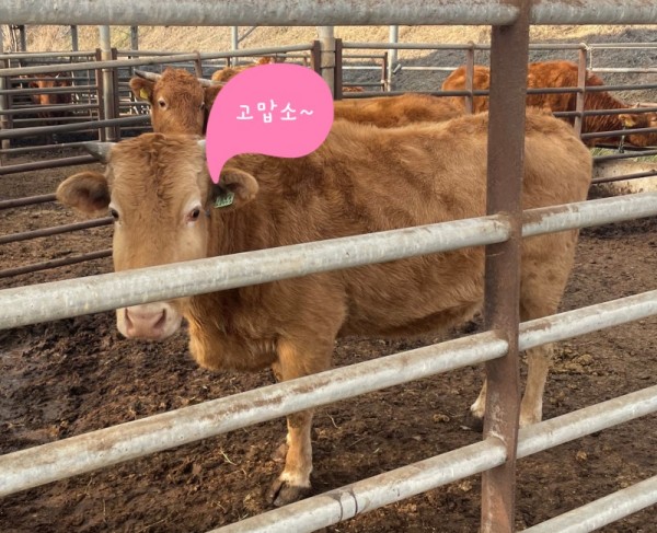축산 농가 온도 습도 모니터링 솔루션 이미지 14