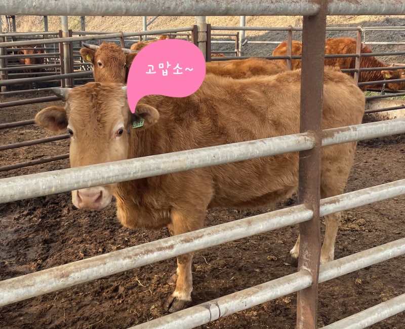 적용처 이미지 4